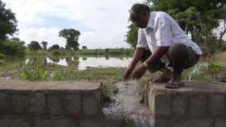 Model Farm – Water Literacy Foundation