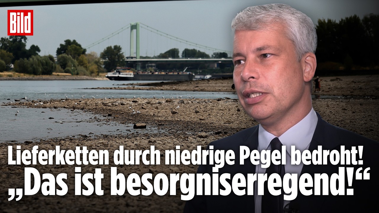 Dramatisches Niedrigwasser im Rhein: Verkehrsminister Bilger zu den Folgen für die Wirtschaft!