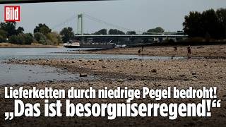 Dramatischer Pegelstand im Rhein: Schifffahrt kommt zum Erliegen – Lie