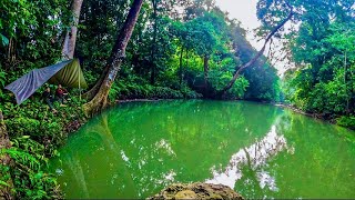 Download lagu Camp Fishing di Lubuk Sungai Tengah Hutan kalimantan Gudang ikan Baung dan Sidat mp3