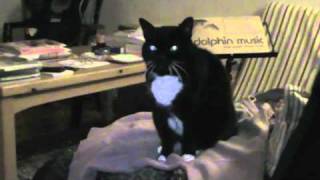 La Nuit - Gilles Vigneault