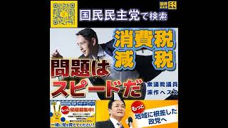国民民主党 深作ヘスス  食料品消費税はどうなる 6月24日