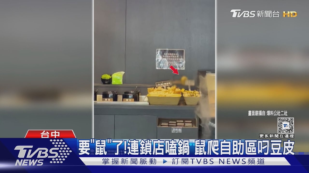 要「鼠」了!連鎖店嗑鍋 鼠爬自助區叼豆皮
