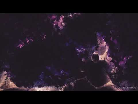 Dexter Crowe  - Apoth [Saisons Musique]