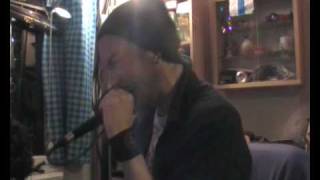 The Berzerker - Pain vocal cover.