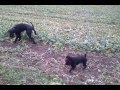Video 2012 11 07 07 41 07