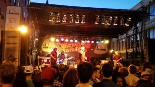 Guided By Voices Your Name Is Wild at Wicker Park Fest July 29, 2017