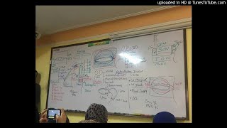1) Dr. wael salah anatomy of the eye lid
