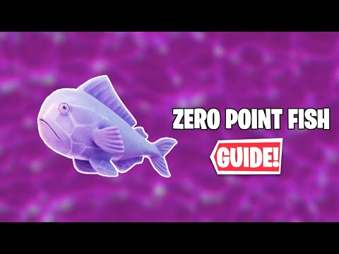 YouTube video about: What is the zero point fish?