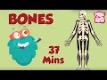 Best Learning Videos For Kids The Dr Binocs Show Fun Learning Videos For Kids By Peekaboo Kids