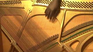 Claude Gomis Piano Harp Experiment #4