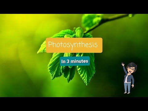 PHOTOSYNTHESIS in 3 minutes