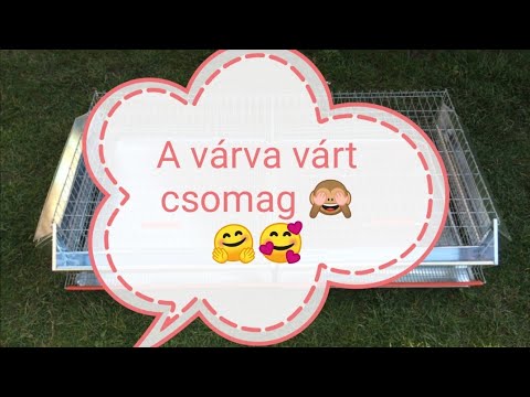 , title : 'A várva várt csomag🤩 fürj ketren Miben tartsuk a fürjeket! #fürj #fürjtartás #ketrec'