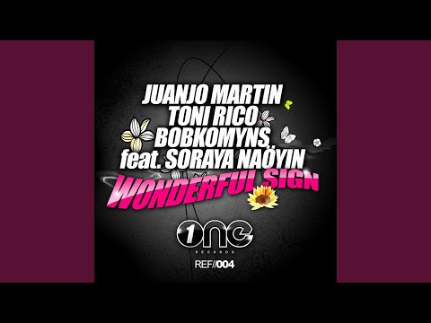 Wonderful Sign (Remix)