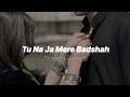 Slowed X Reverb Lofi Song Tu Na Ja Mere Badshah 90s Love Songs Alka Yagnik
