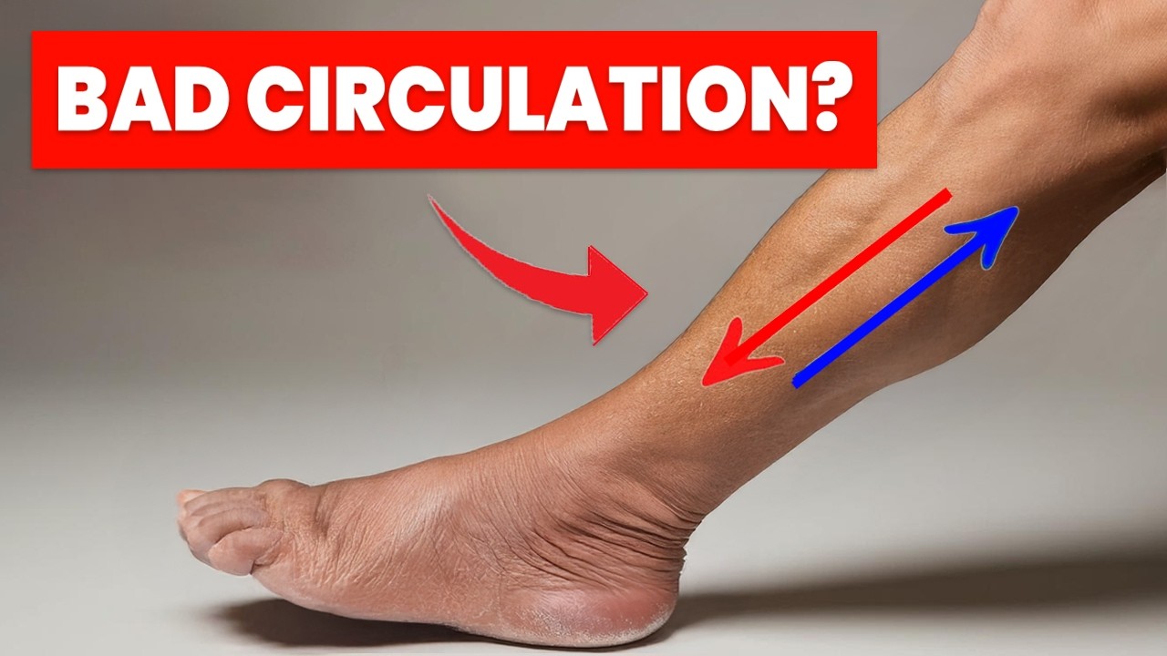 The ONLY 3 Exercises you NEED to Improve Leg Circulation