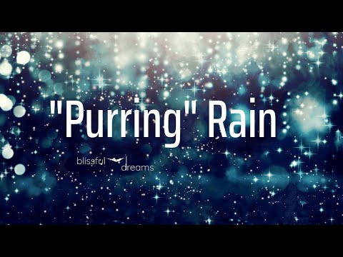 Cat Purring to Sleep | THE LOUDEST PURRING in the Rain | Feeling Peaceful & Happy