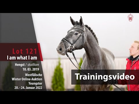 Online-Auktion 2nd Chance Training Lot 121 I am what I am Hengst v. I´m Special de Muze-Quaid Fight