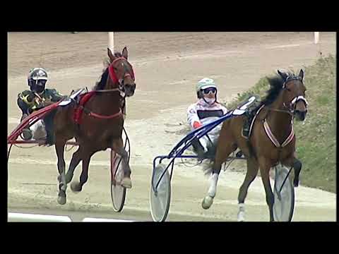 Napoli Trotto 05/03/2021 - 4ª corsa