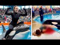 The TERRIFYING Last Moments Of Orca Trainer Emma Carter
