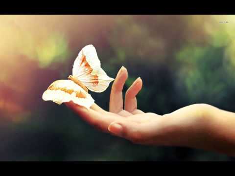 Butterfly's Dream By Erutan Music Audio (With Lyrics)