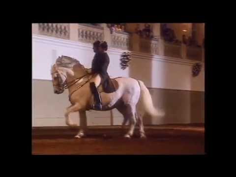Spanische Reitschule Wien 1994 (2/6) - Pas de Deux