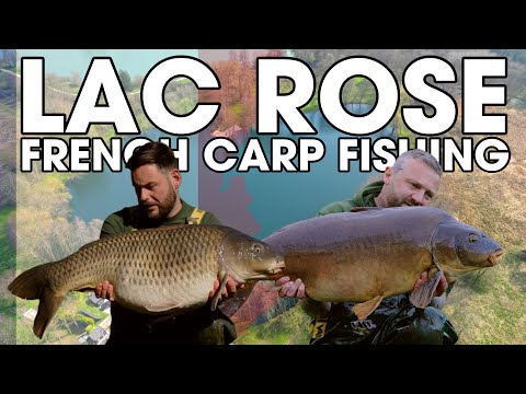 French Carp Fishing at Lac Rose - Elevate Baits | Dan Hawkes & Keith Pickett