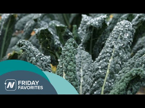 Friday Favorites: The Benefits of Kale and Cabbage for Cholesterol