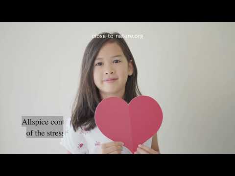 Easy Steps To Grow Allspice In Containers