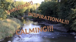 "Along The River" - Scenery Cinematic!