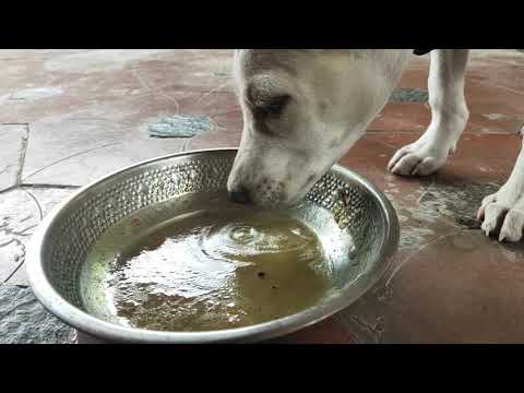 slow motion || shiro || little boy || Drinking 🍲 soup