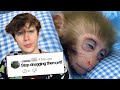 Animal Abuse Is Taking Over YouTube DEFAULT Thumbnail