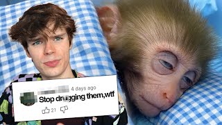 Animal Abuse Is Taking Over YouTube MQDEFAULT Thumbnail