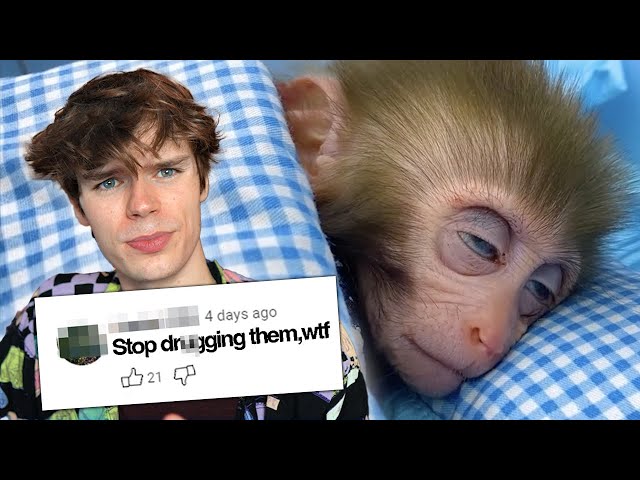 Animal Abuse Is Taking Over YouTube SDDEFAULT Thumbnail