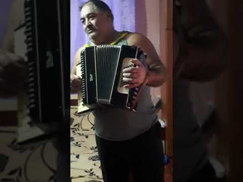 Bulibasa budacu de jos