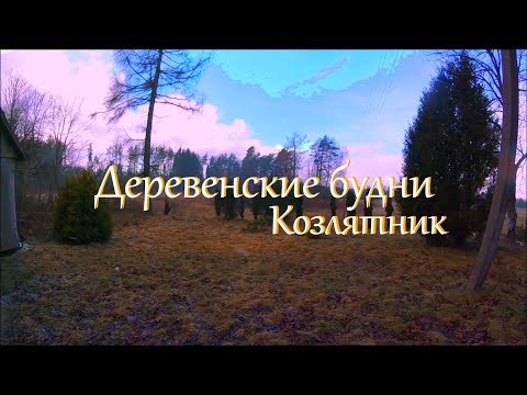Деревенские будни. Переделка амбара в козлятник.. Ответы на различные игры в социальных сетях Деревенские будни. Переделка амбара в козлятник.. Ответы на различные игры в социальных сетях