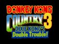 Stage Clear Snow Donkey Kong Country 3 Dixie Kong S Double Trouble SNES Music418