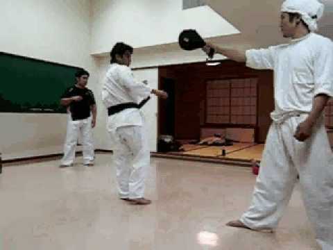 前蹴りから廻し蹴り・ミット