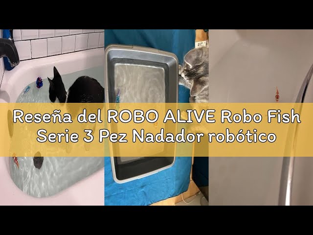 Vídeo relacionado con Robo Fish Serie 3 Pez Nadador robótico, Juguete de baño (2 Pack, Rosa y Dorado)