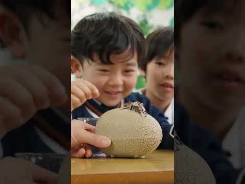 【モンスターラボ】ゆづっこ先生スペシャル授業！とあぴーと一緒に「ハイブリッド恐竜」についてくわしくなろう！ #タカラトミー #アニア #モンスターラボ #恐竜 #takaratomy #ania