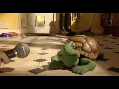 turtle favourite foods 🍳