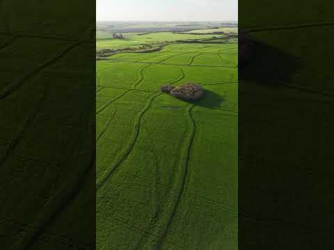 Campo de 343 has en venta en Capitan Sarmiento