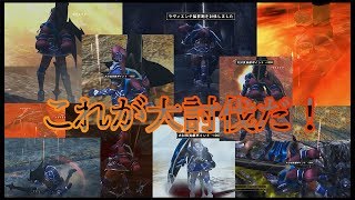 【悲報】非不退ランスが極ラヴィガチパに初見乱入【MHF-Z】