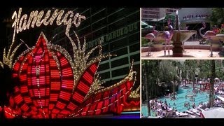 Flamingo Resort and Wildlife Habitat- Las Vegas.!
