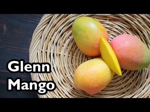 Truly Tropical Mango Varieties- 'Glenn'