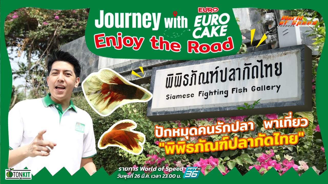 Thai Betta Museum