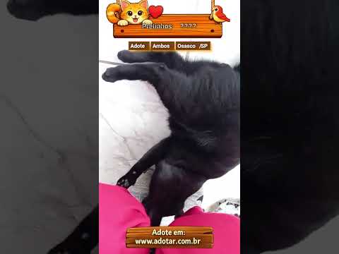 Vídeo de Pretinhos ????