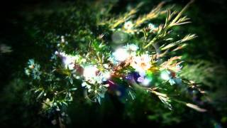 믿기 싫은 이야기 (How Can I) - TVXQ / DBSK / 동방신기