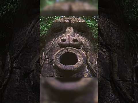 STRANDED ON A REMOTE ISLAND