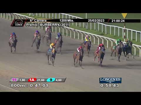 230225 c08 MERCEDITA